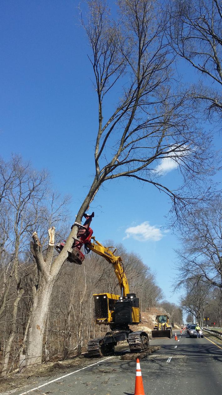 Feller Buncher on the Merritt Parkway Connecticut removing hazardous trees.