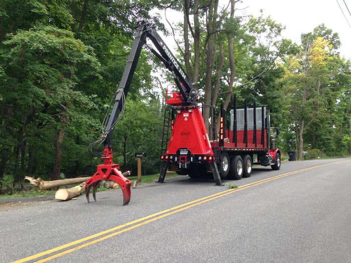 Crane | Tree Removal Service